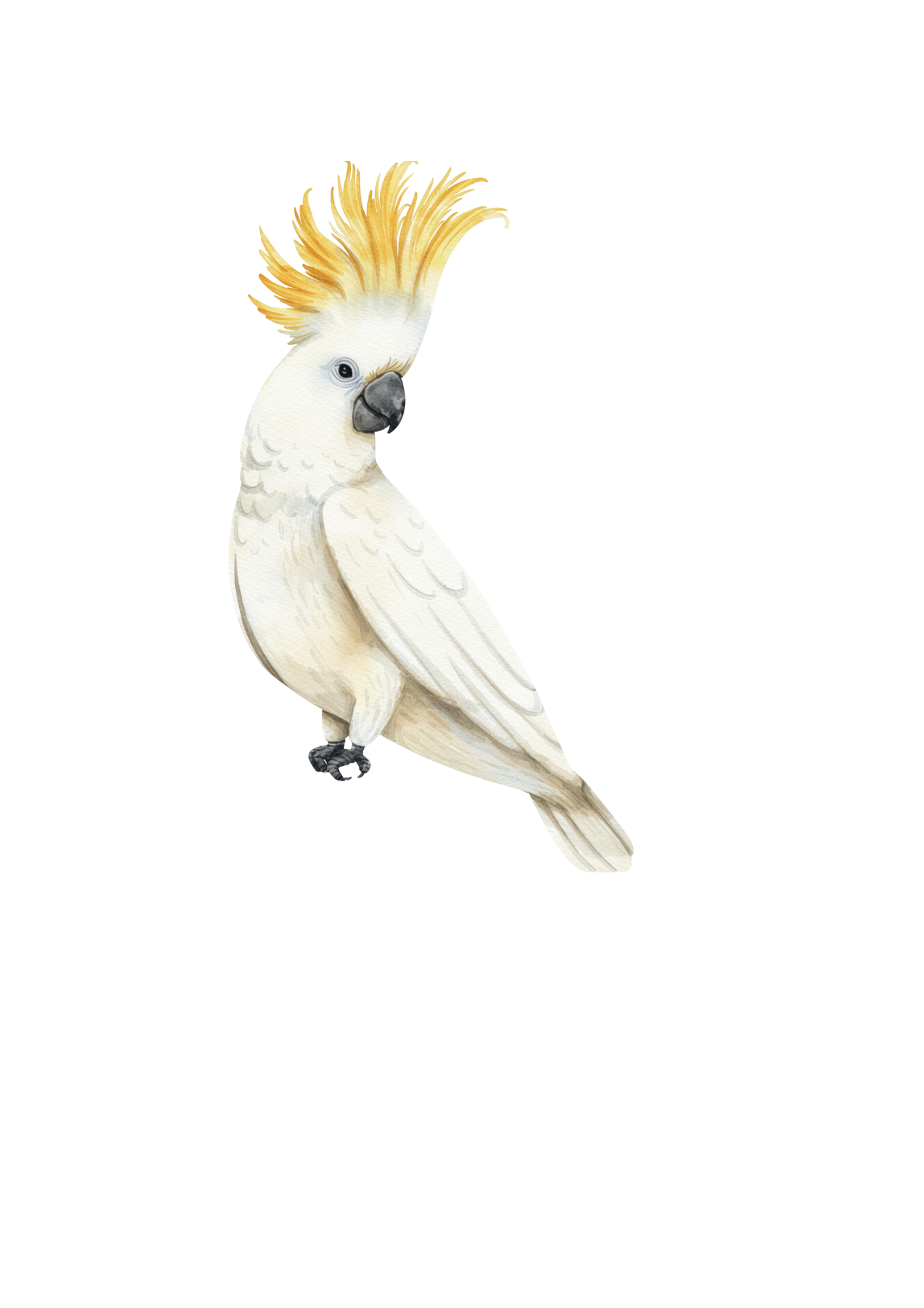 Pentecost